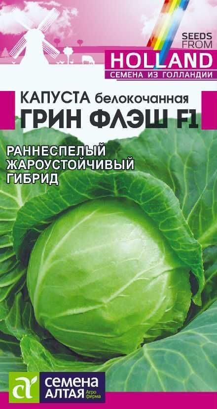 КАПУСТА ГРИН ФЛЭШ F1/СЕМЕНА АЛТАЯ / 15 ШТ. SEMINIS (ГОЛЛАНДСКИЕ СЕМЕНА)