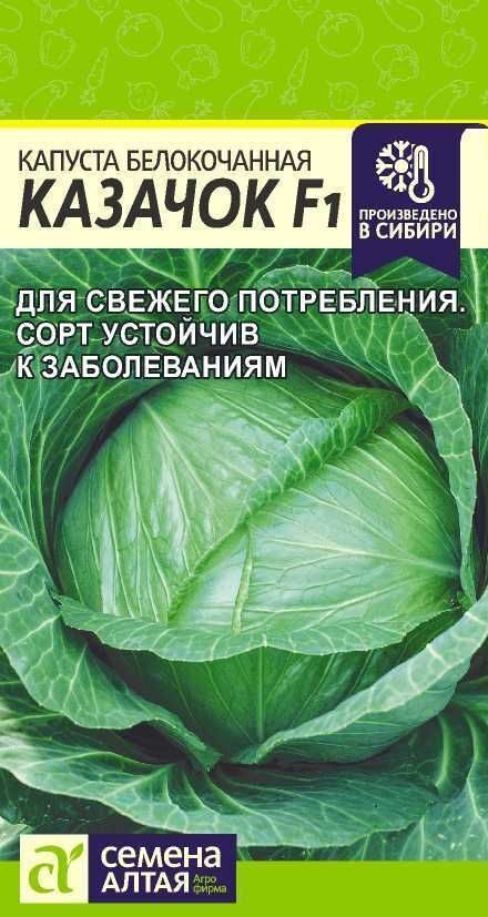 КАПУСТА КАЗАЧОК F1/СЕМЕНА АЛТАЯ/  0,1 ГР.