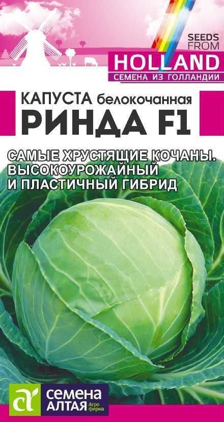 КАПУСТА РИНДА F1/СЕМ АЛТАЯ 12 ШТ. SEMINIS (ГОЛЛАНДСКИЕ СЕМЕНА)