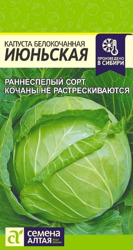 КАПУСТА ИЮНЬСКАЯ/СЕМ АЛТАЯ / 0,5 ГР.