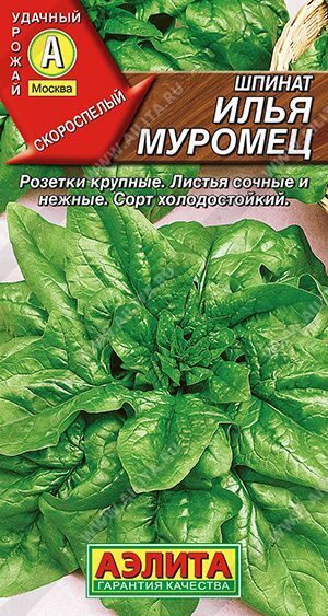 Шпинат Илья Муромец 3,0г. АЭЛИТА Шпинат Илья Муромец 3,0г. АЭЛИТА