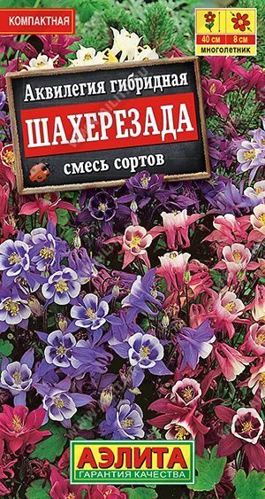 Аквилегия Шахерезада, смесь сортов. 0,1г. АЭЛИТА Аквилегия Шахерезада, смесь сортов. 0,1г. АЭЛИТА