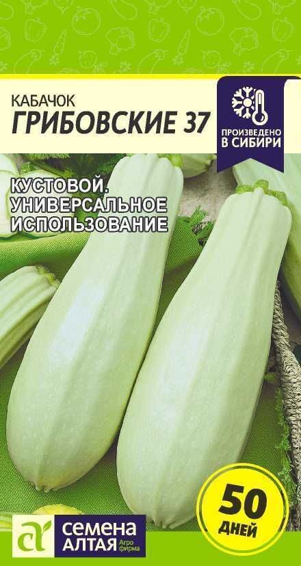 КАБАЧОК ГРИБОВСКИЕ 37 /СЕМ АЛТАЯ/2 ГР.