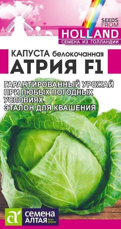 КАПУСТА АТРИЯ F1/СЕМ АЛТАЯ /12 ШТ. SEMINIS (ГОЛЛАНДСКИЕ СЕМЕНА)