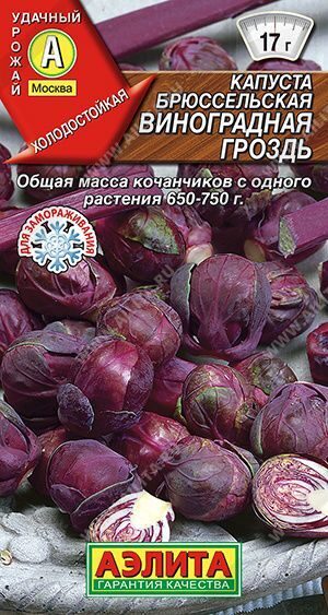 Капуста брюссельская Виноградная гроздь 0,1 г. АЭЛИТА
