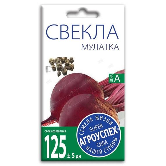 СЕМЕНА СВЕКЛА МУЛАТКА СЕМЕНА АГРОУСПЕХ 2Г