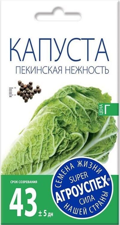 Семена капусты пекинской Нежность АГРОУСПЕХ 0,5 г