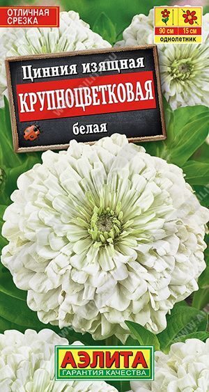 Цинния Крупноцветковая белая.  0,3г.  АЭЛИТА