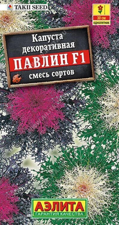 Капуста декоративная Павлин F1, смесь сортов, 7 шт АЭЛИТА