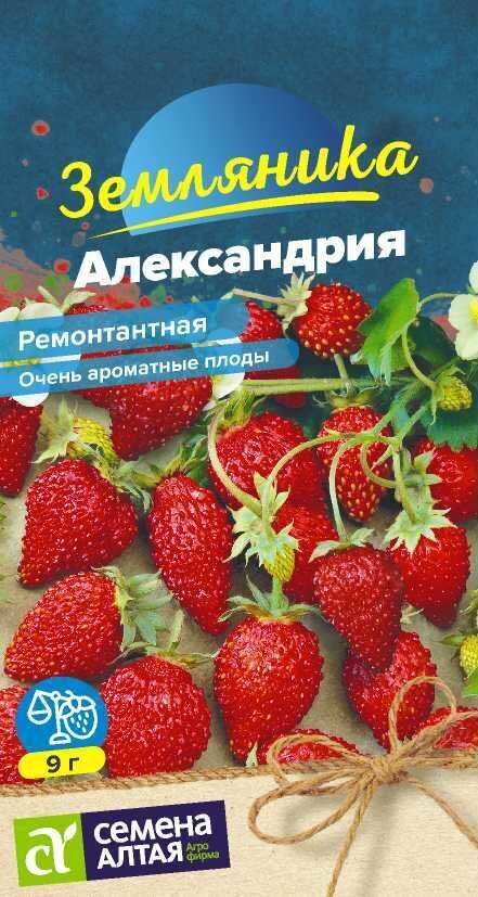 ЯГОДА ЗЕМЛЯНИКА АЛЕКСАНДРИЯ РЕМОНТАНТНАЯ/СЕМЕНА АЛТАЯ/ 0,05 ГР.