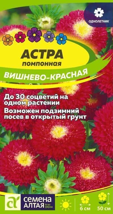 Астра Помпонная Вишнево-Красная 0,2 г Семена АЛТАЯ