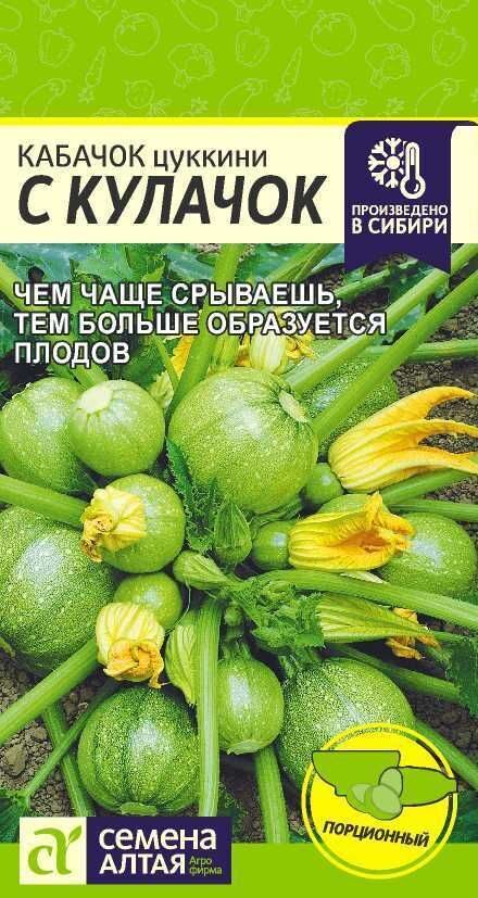 КАБАЧОК С КУЛАЧОК СЕМЕНА АЛТАЯ. 1 ГР. НОВИНКА! КАБАЧОК С КУЛАЧОК СЕМЕНА АЛТАЯ. 1 ГР. НОВИНКА!