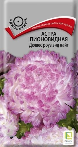 Астра пионовидная Дюшес роуз энд вайт 0,3Г. ПОИСК