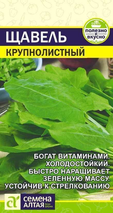 ЗЕЛЕНЬ ЩАВЕЛЬ КРУПНОЛИСТНЫЙ/СЕМЕНА  АЛТАЯ/ 0,5 ГР. НОВИНКА!