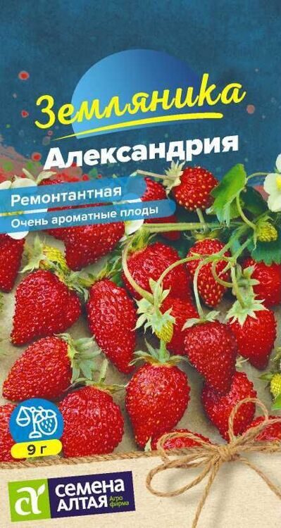 ЯГОДА ЗЕМЛЯНИКА АЛЕКСАНДРИЯ РЕМОНТАНТНАЯ/СЕМЕНА АЛТАЯ/ 0,05 ГР.