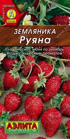 Земляника Руяна  0,04г.АЭЛИТА