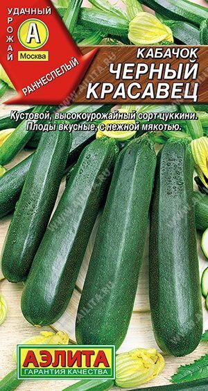 Кабачок цуккини Черный красавец