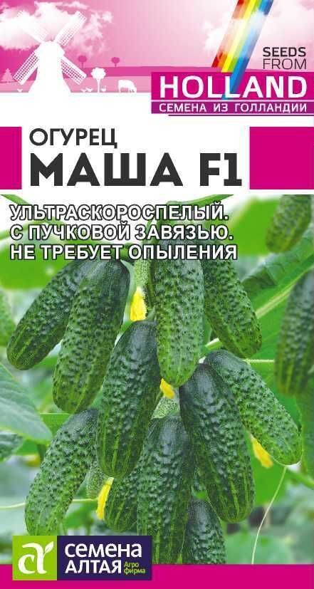 ОГУРЕЦ МАША F1/СЕМЕНА АЛТАЯ 5 ШТ. SEMINIS (ГОЛЛАНДСКИЕ СЕМЕНА)