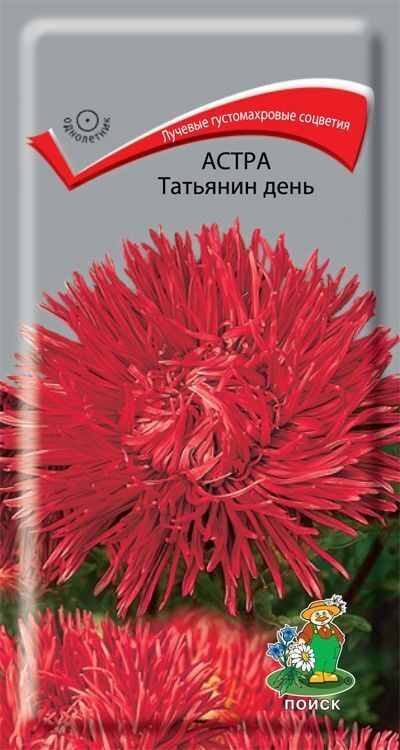 Астра Татьянин день 0,3 г ПОИСК
